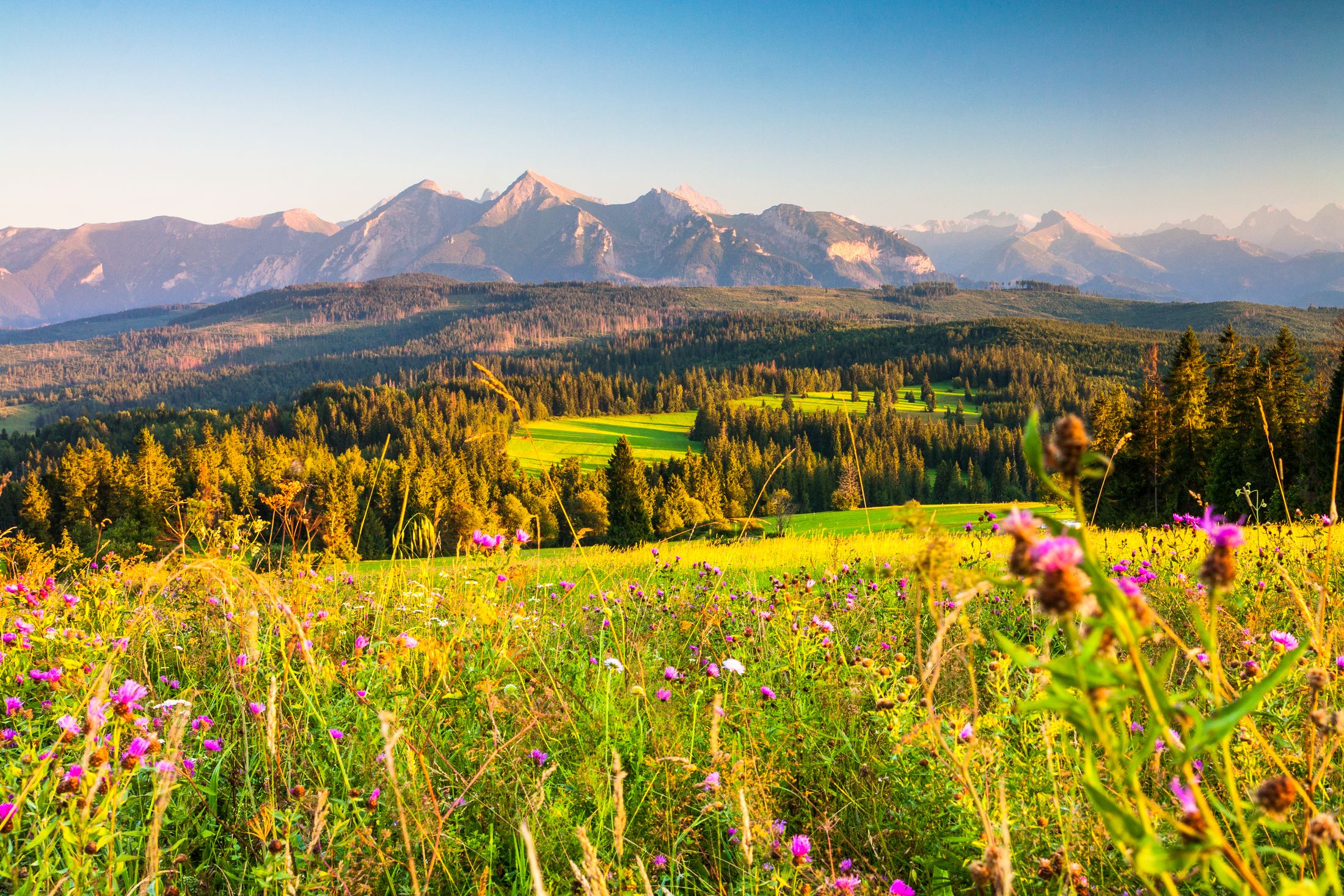 Šar Mountain views