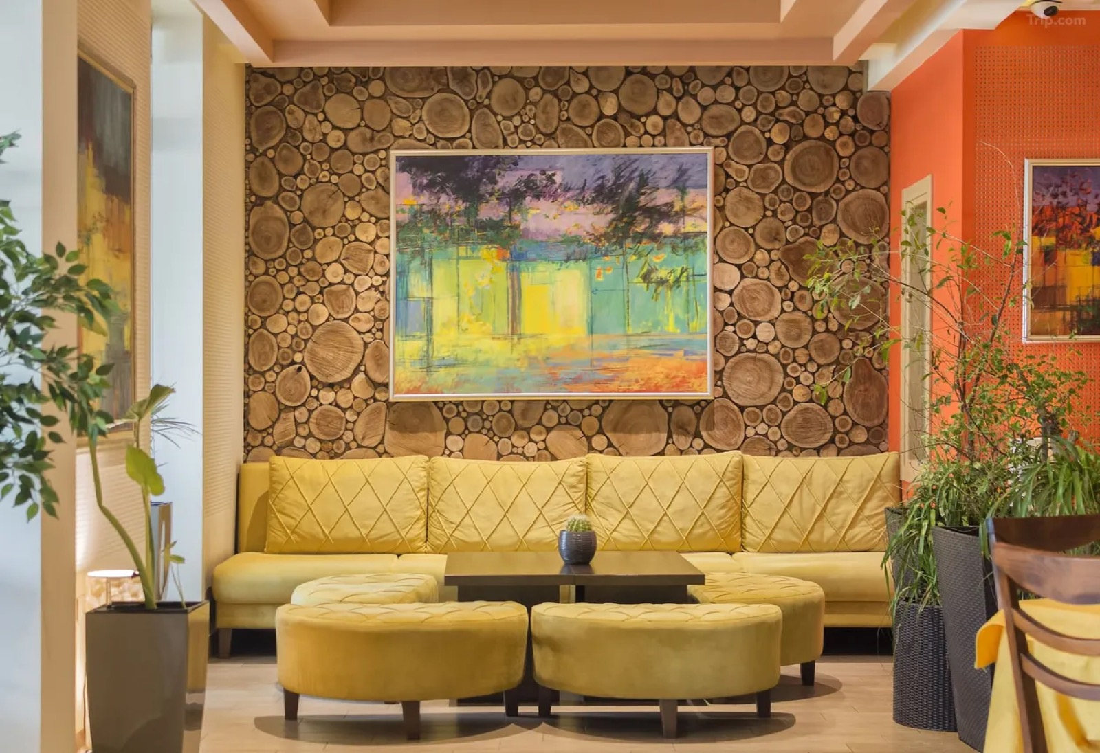 Noel lounge